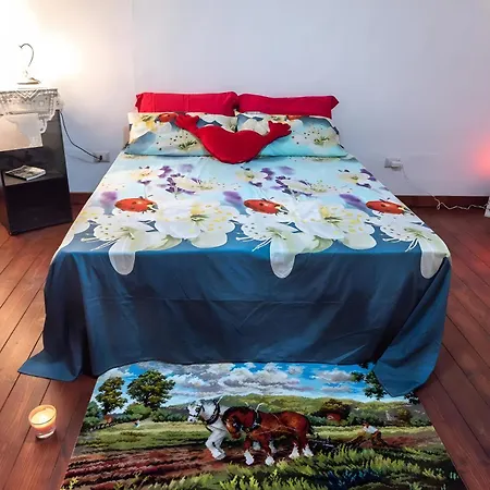 Appartement Corte Gallo 5